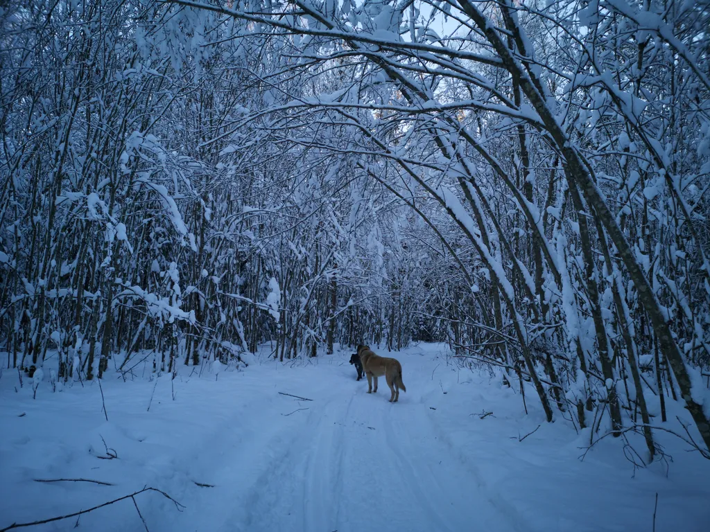 Коттедж Коттедж Веселый апельсин — Ексолово