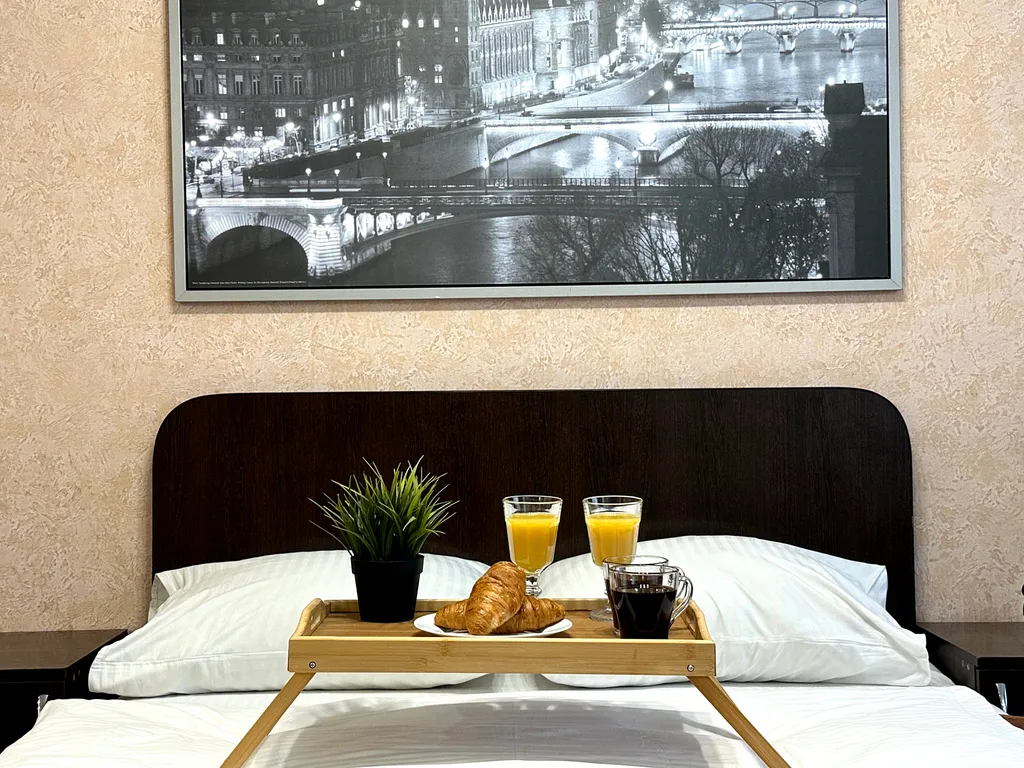 Квартира у парка Пушкина в Парижском стиле