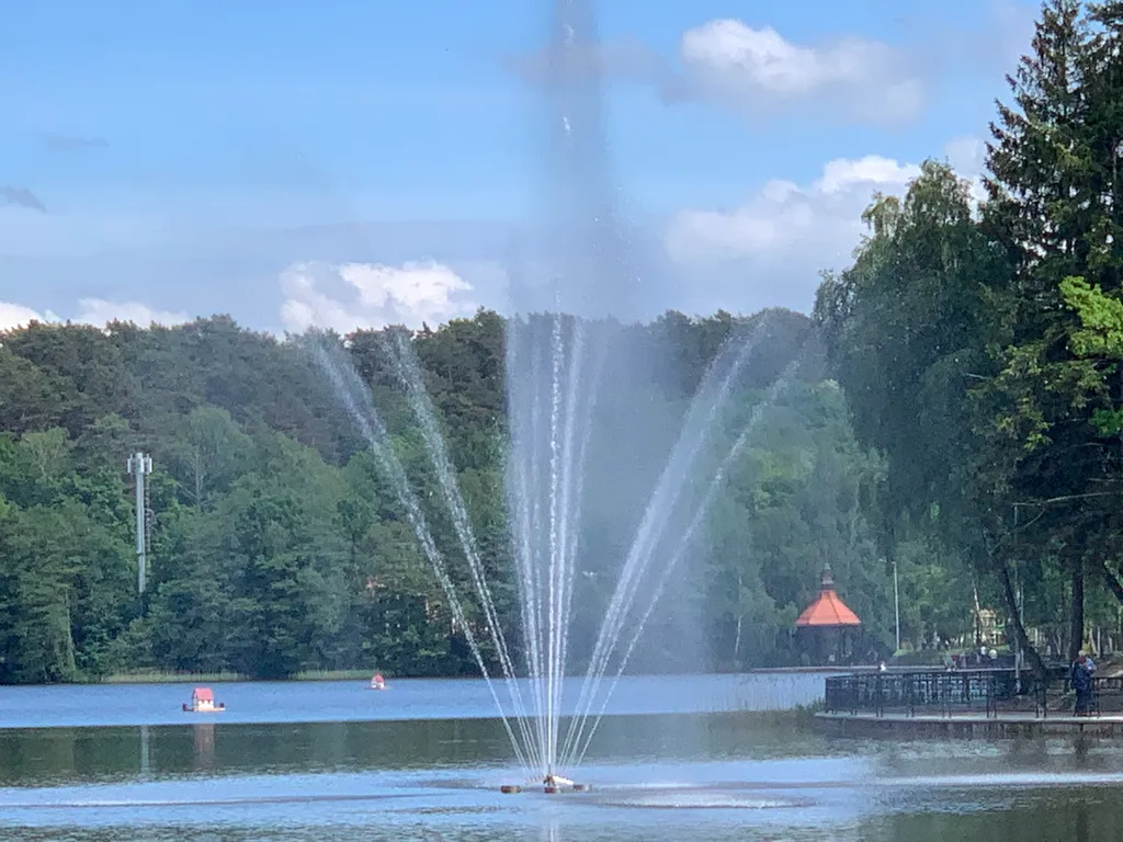 Апартаменты у озера тихое, с видом на лес