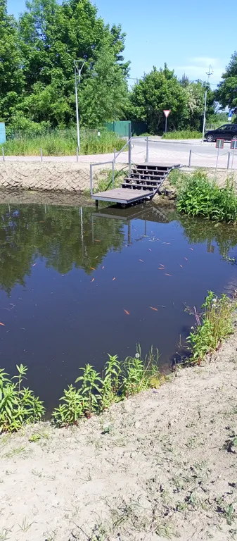 Уютная квартира Чистый Воздух