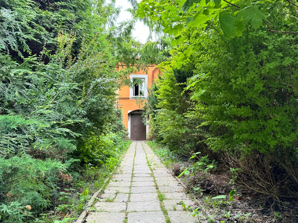 Мяу-квартира на Курортном проспекте