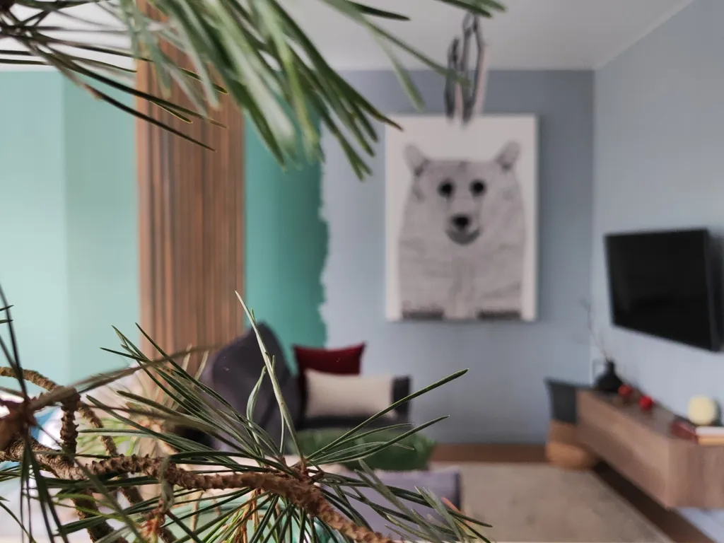 Премиальные апартаменты «Лесная сказка»: дизайн, тишина,кофе в постель