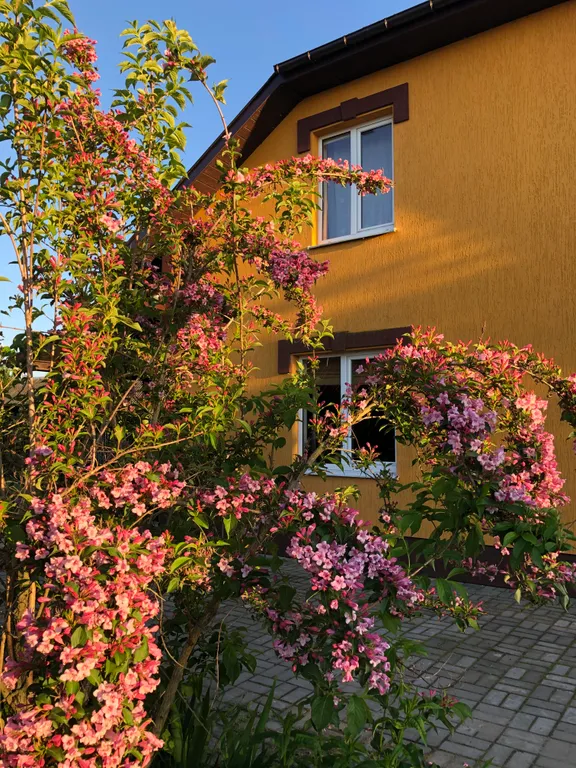 Усадьба Царское село