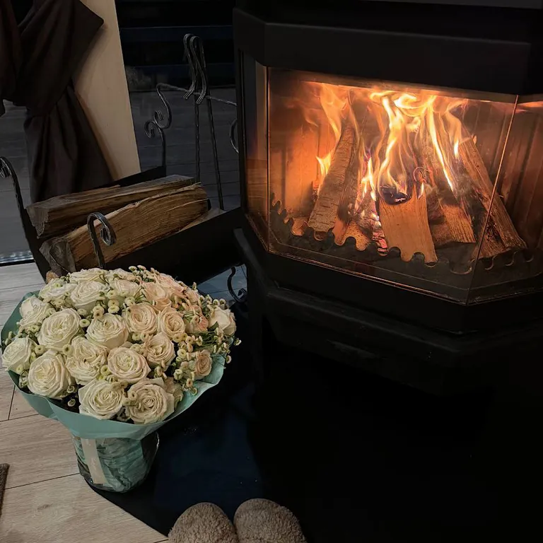 Домик в Икше с камином (Lato-65 Plus)