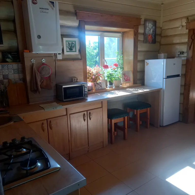 Дом у пруда