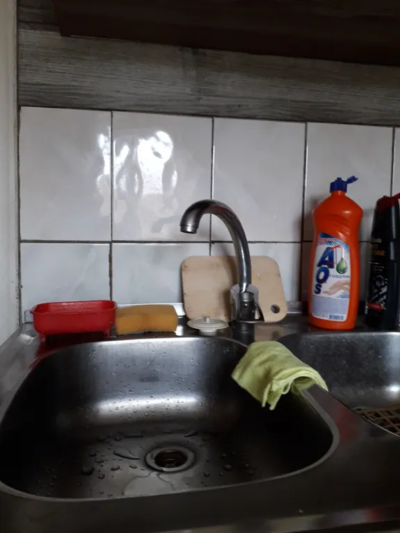 Целый дом с садом и двориком