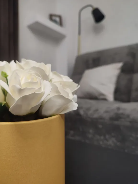 Просторная евродвушка в Парковом