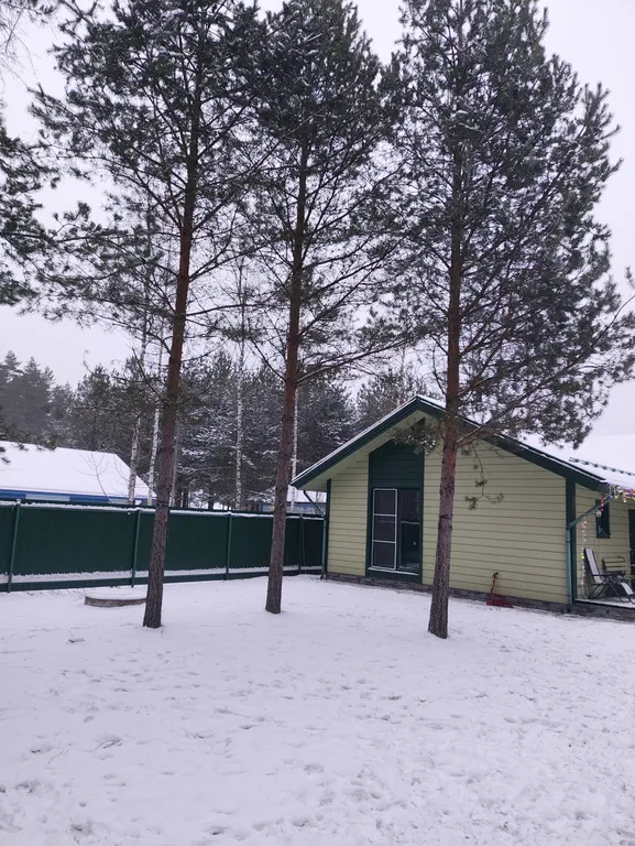 Дом в сосновом лесу у Финского залива