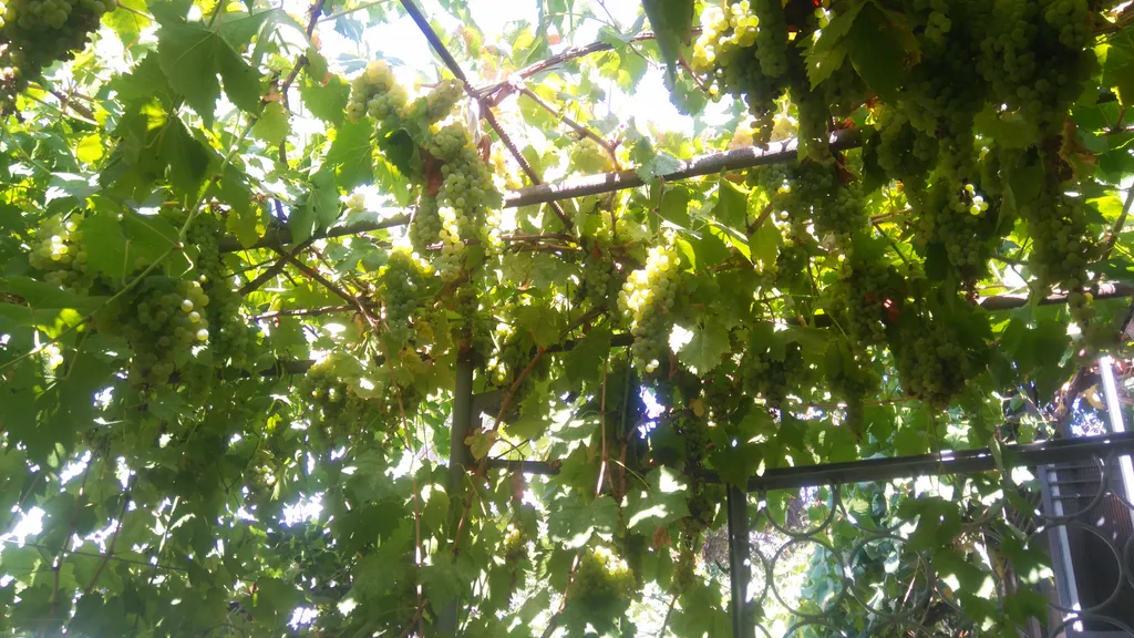 Милый дом в центре города Евпатории