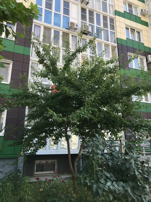 Квартира Квартира Уютная евродвушка у реки Кубань — Краснодар