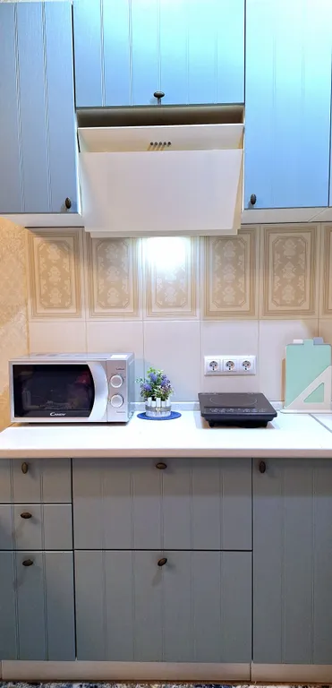 Уютная студия в центре города