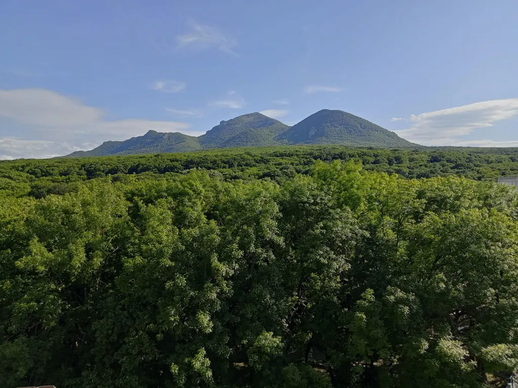 Уютный номер с шикарным видом из окна, рядом со всеми лечебными заведениям