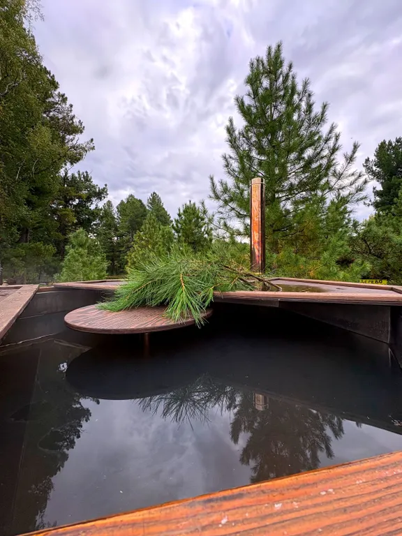 Коттедж Дом в лесу — аренда посуточно в Новосибирск