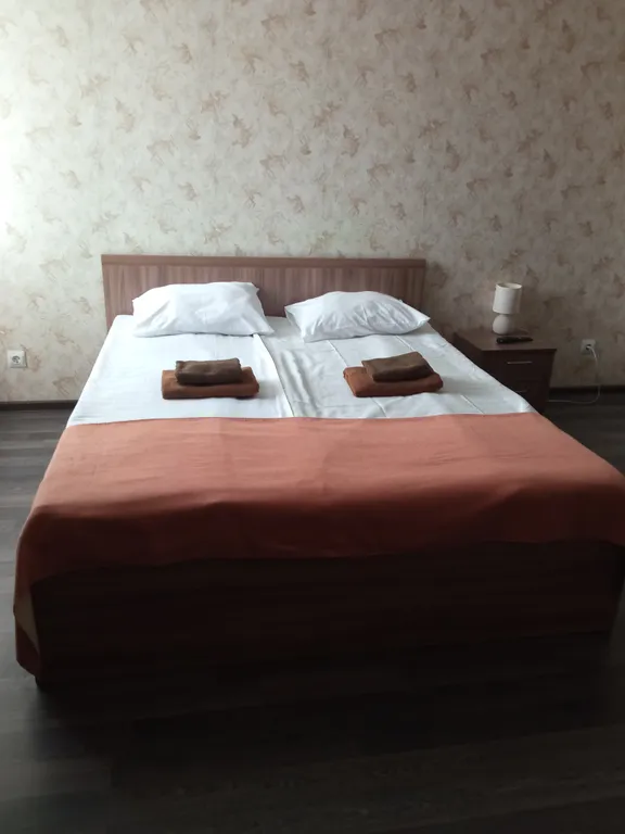 Квартира Апартаменты в здании отеля Камелот — аренда посуточно в Псков