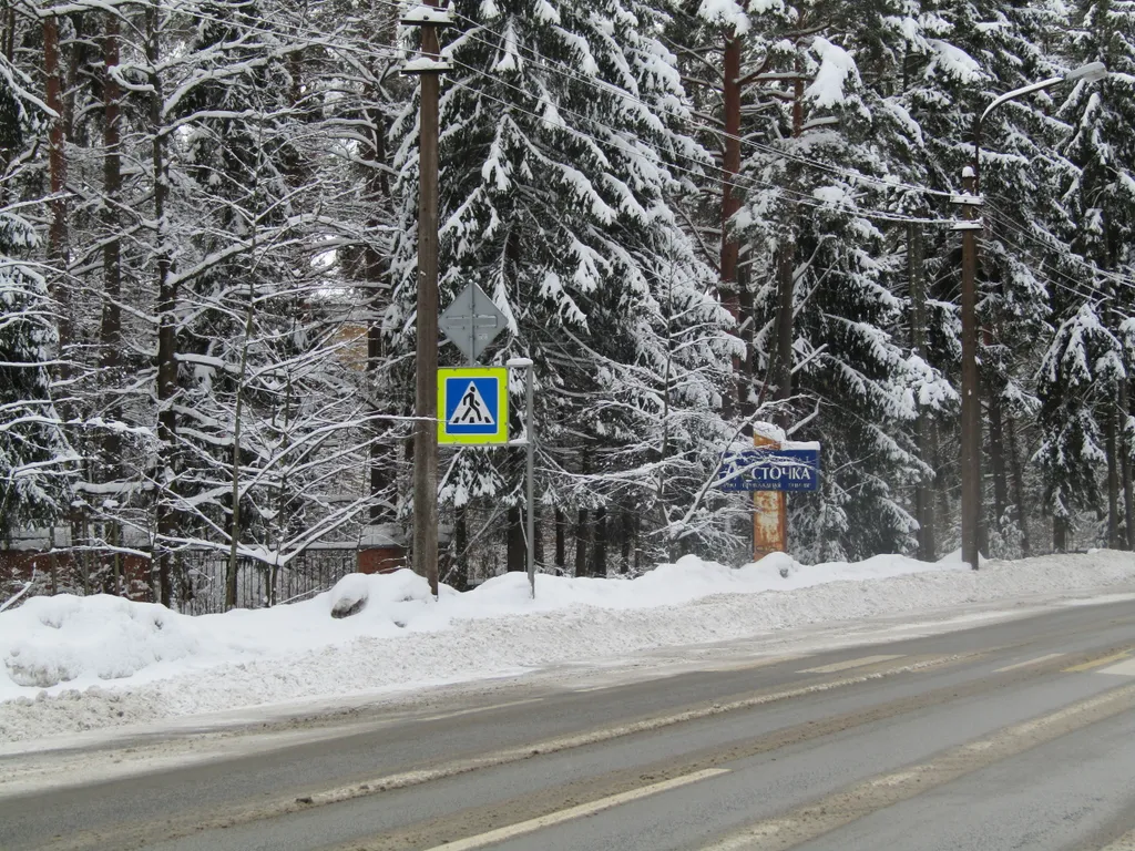 Коттедж Академическая дача (коттедж) у Финского залива, Зеленогорск-Смолячково — Санкт-Петербург