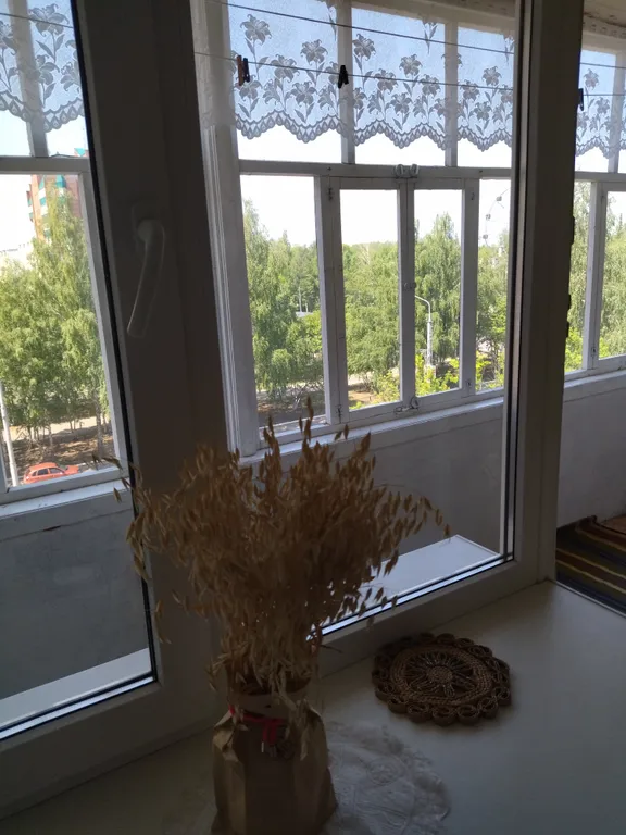 Квартира в центре города с видом на парк