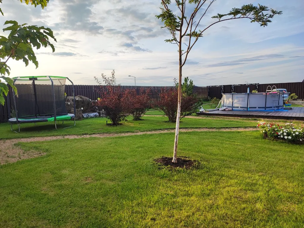 Дом с баней на дровах и гадающим кроликом