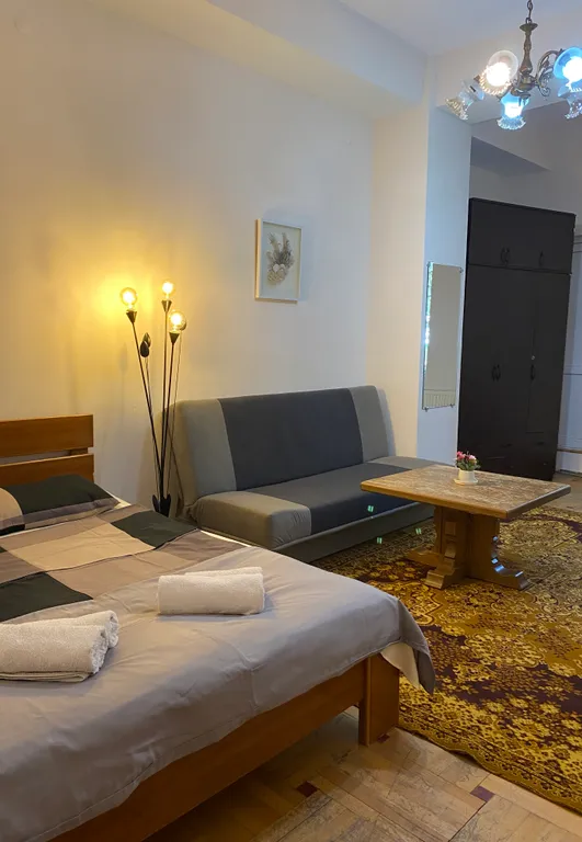 Однокомнатная квартира в центре города — аренда посуточно в Тбилиси