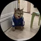 Антон