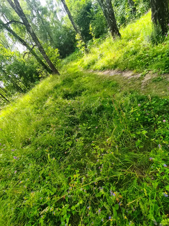 Квартира с балдахином, балконом с лаундж зоной для чая и кофе