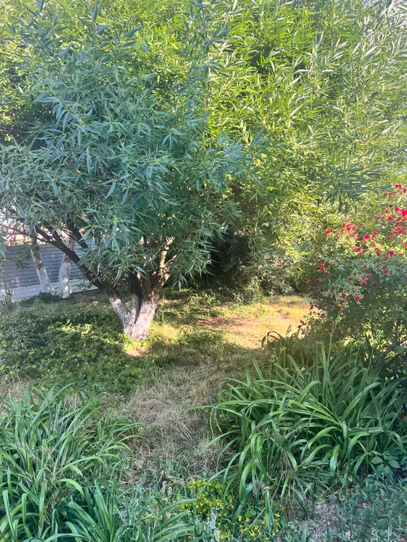 С бассейном рядом с морем