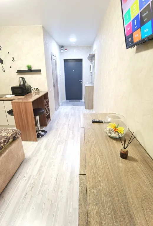 Уютная студия с новым ремонтом