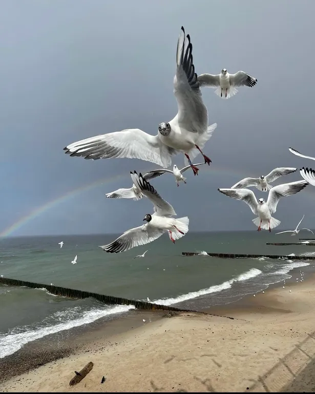 Квартира Квартира Прекрасный старый дом — Калининград