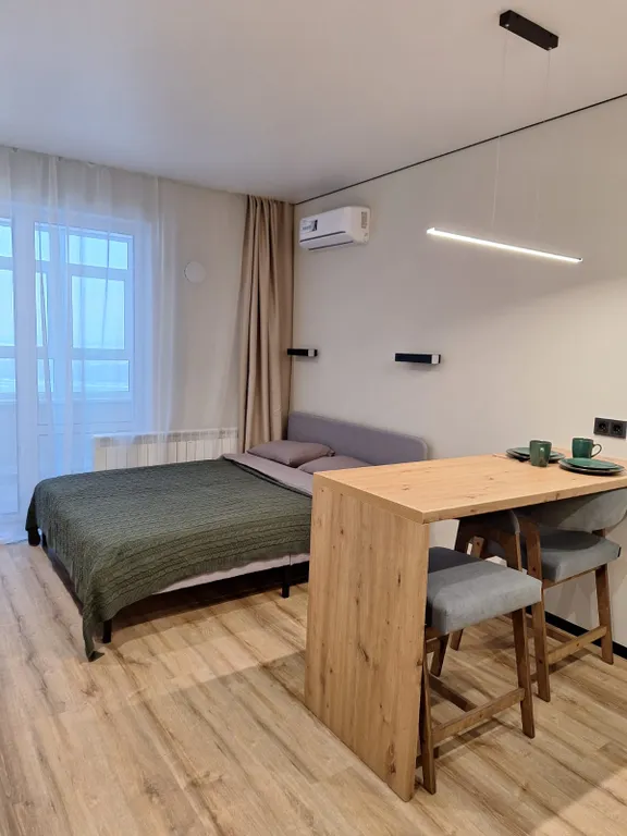 Квартира Квартира Уютная студия с видом на реку — Барнаул