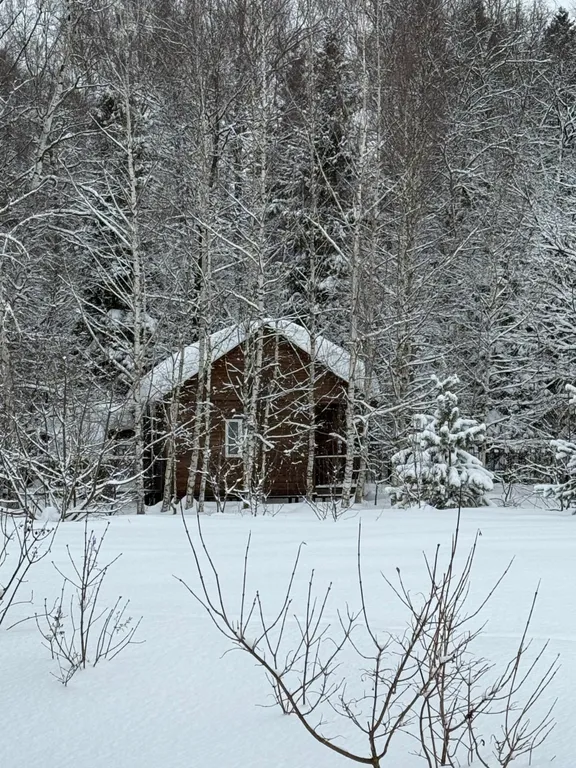 Коттедж Милый тихий домик в лесу ждет Вас — Степаньково