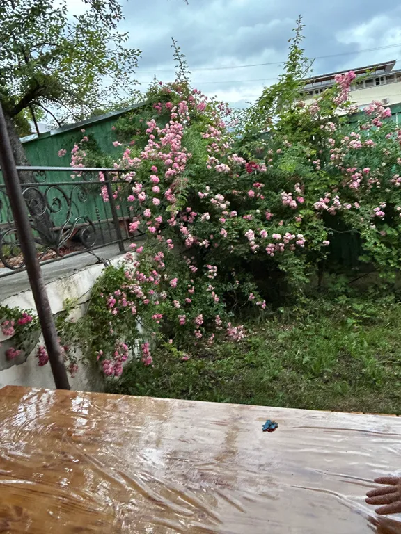 Коттедж в горах вид на горы