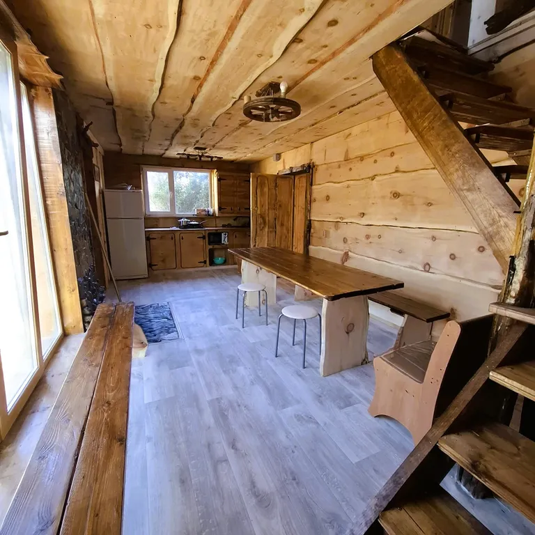 В гостях У Лешего