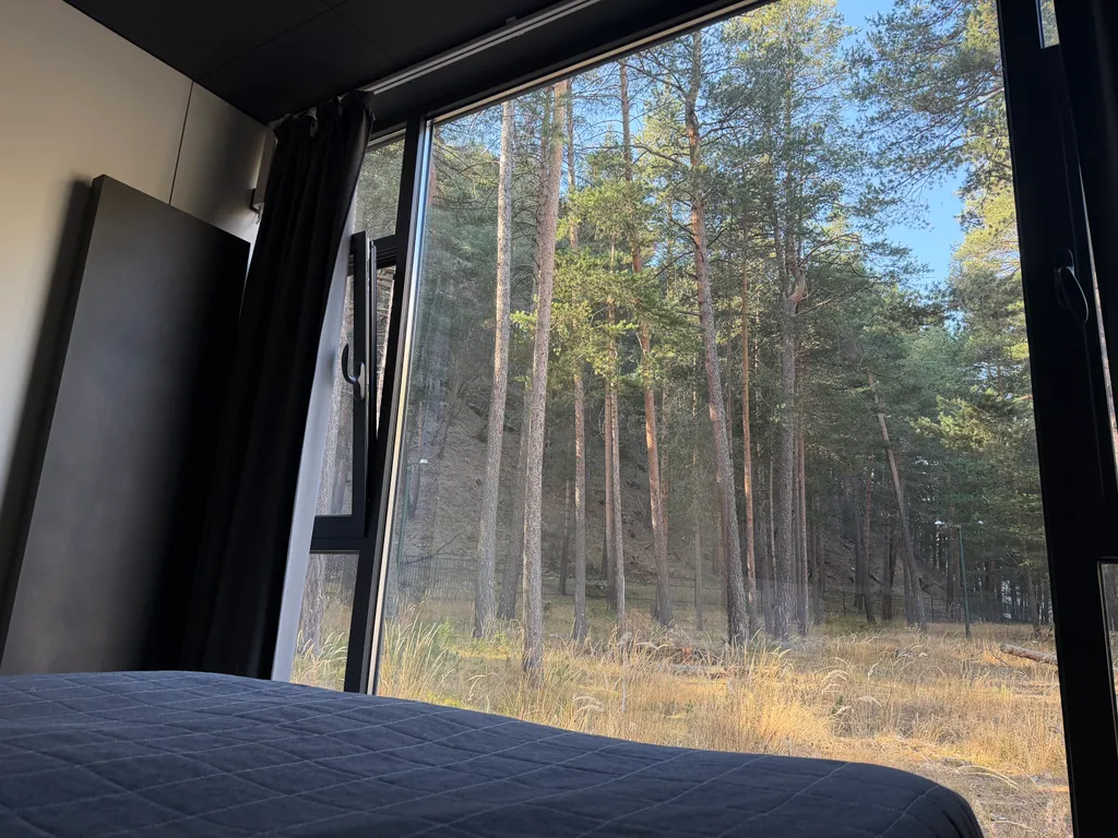 Глэмпинг в лесу