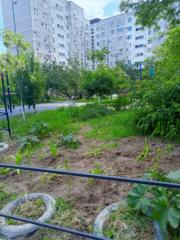 Уютная квартира от хозяйки