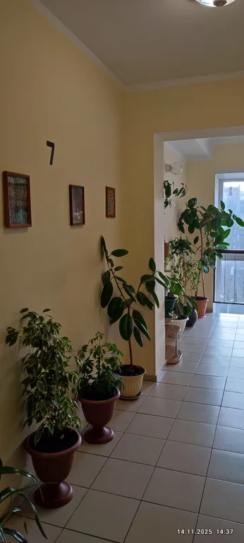 Уютная большая однокомнатная квартирка, как дома.