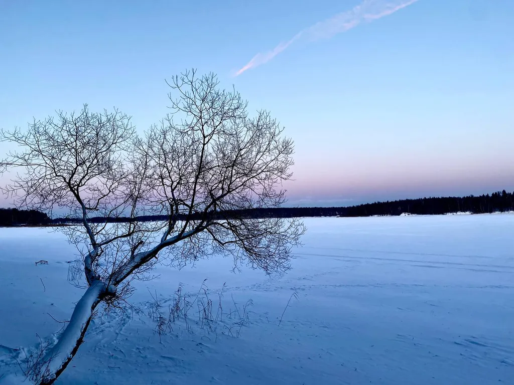 Стильный барнхаус в тихом месте
