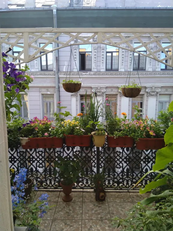 Квартира Комната рядом с московским вокзалом — Санкт-Петербург