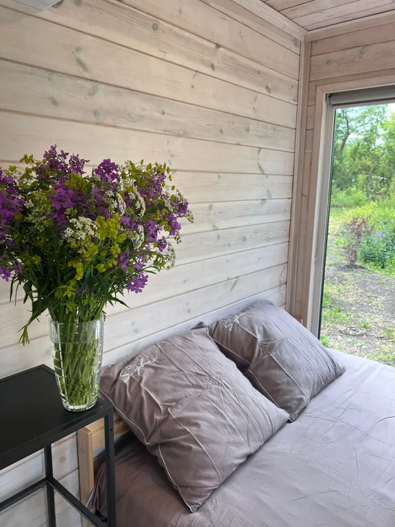 Эко дома Горыныч House рядом с Кудыкиной горой