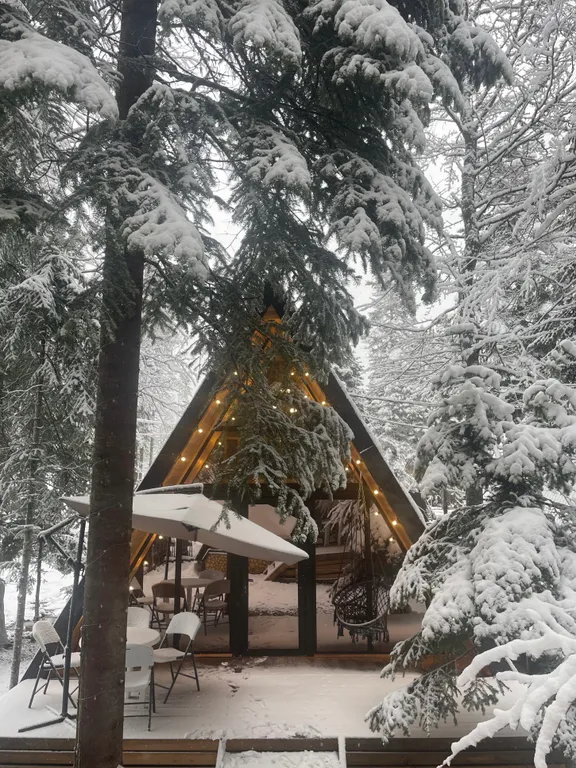 Коттедж А - фрейм — аренда посуточно в Архыз