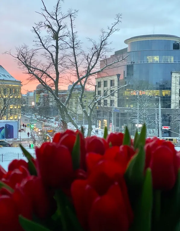 Квартира Центрально-Театральная квартира, о которой многие мечтали — Калининград