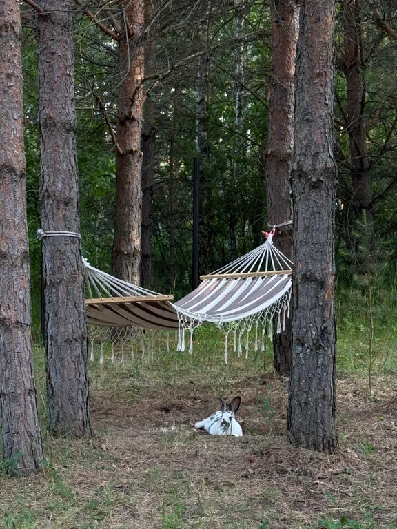Уютный домик и жаркая баня для отдыха вдали от городской суеты