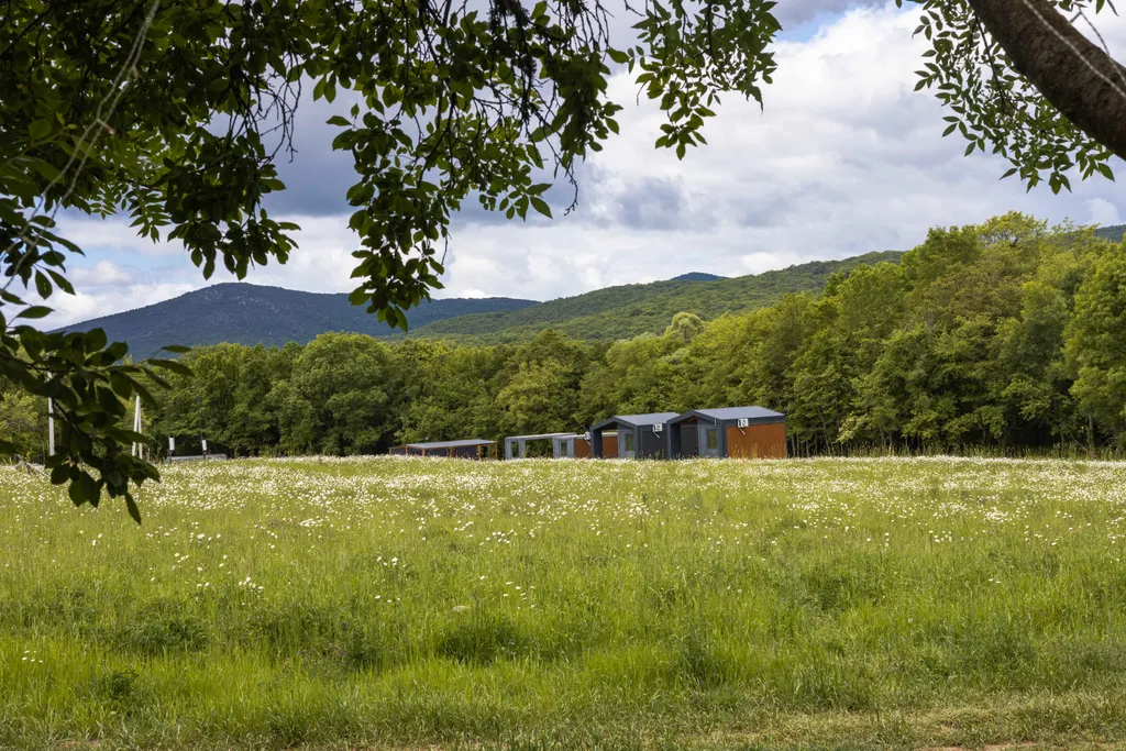 Домик с видом на лес