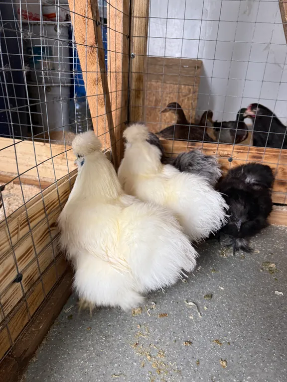 Коттедж Дом на Вуоксе — Беличье