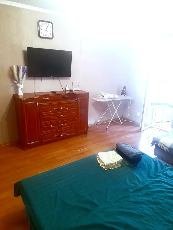 Большая уютная однокомнатная квартира