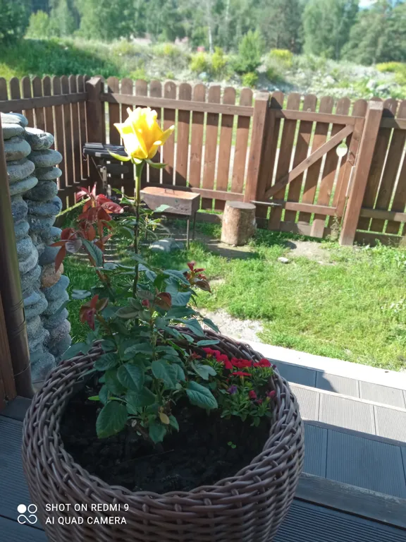 Дом на берегу Чемалки