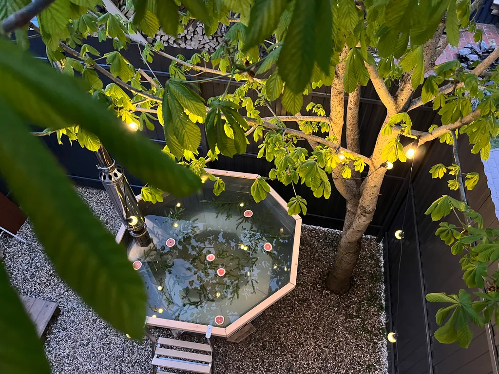 Коттедж Дом с сибирским чаном, сауной и патио — аренда посуточно в Солнечногорск