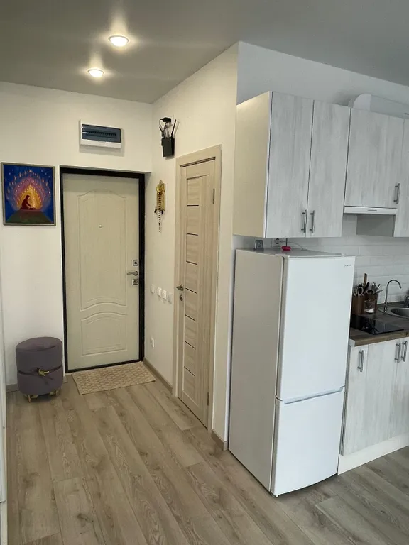 Квартира 1-комнатная Квартира — Сириус