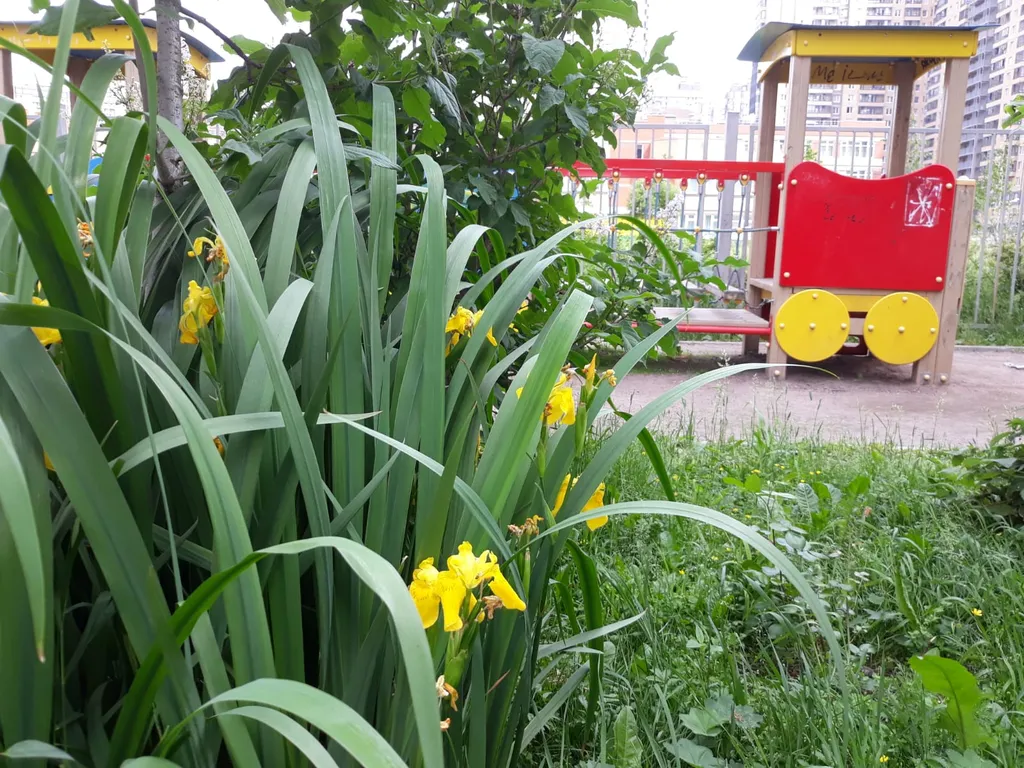 Видовая солнечная студия