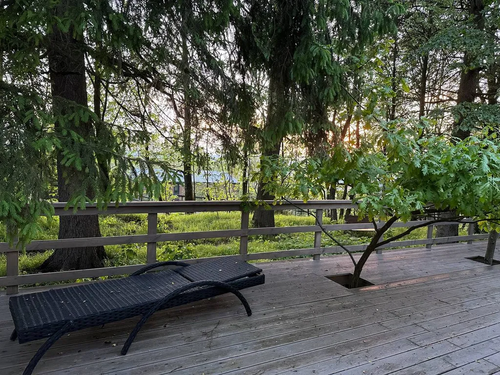 Коттедж Домик Хирви уютный коттедж на отдельном участке с вековыми деревьями — Москва