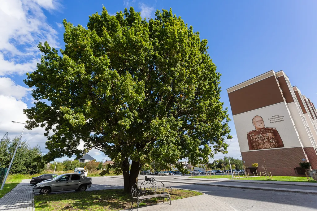 Квартира ApartGreen — Калининград