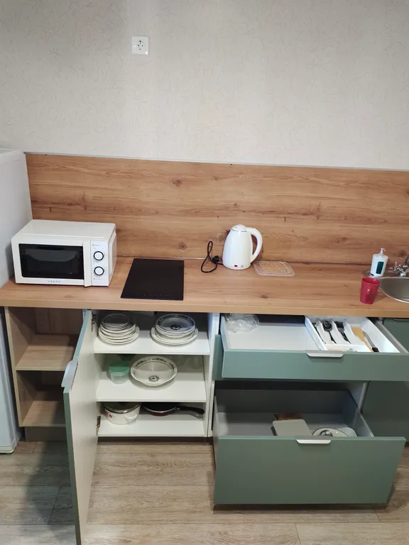 1-комнатная Квартира — аренда посуточно в Воронеж